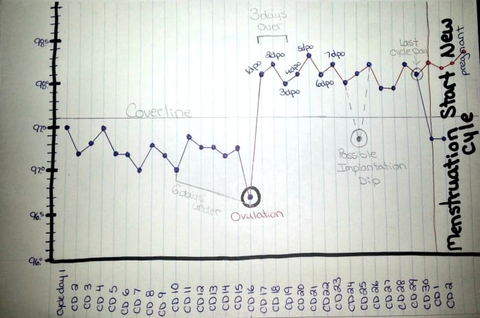 Temperature did not drop for 18 days past ovulation and menstruation did not show up. This is likely a pregnant cycle.