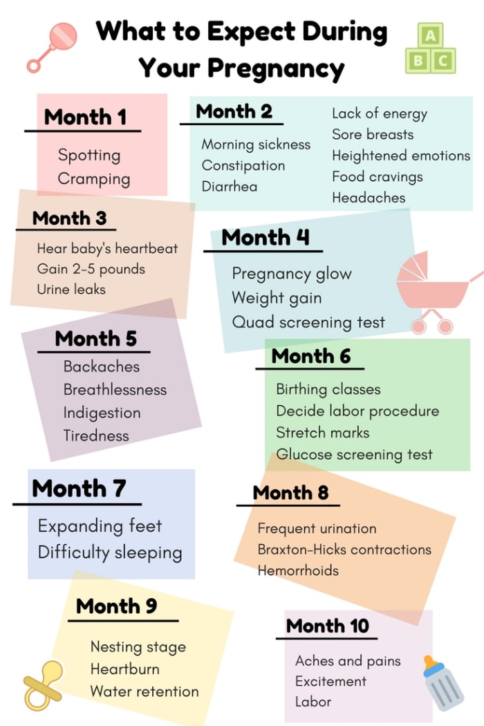 How Far Along Am I in My Pregnancy?: Your Week-By-Week Pregnancy ...