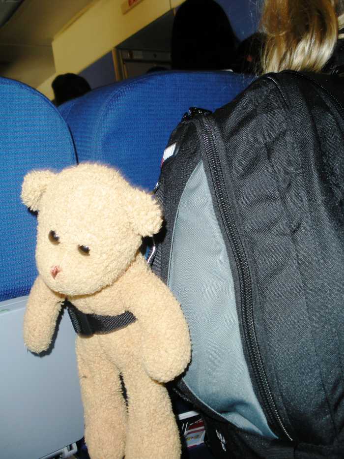 Bring a friend on a plane flight. Choose one that is soft, washable and quiet. A good flight buddy is always quiet. Don't bring a toy that can talk.