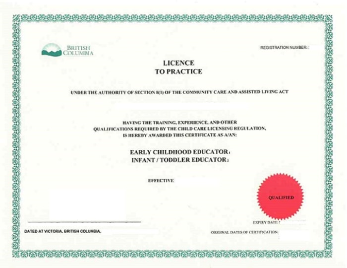 A sample of a teacher's licence. Infant/Toddler, and Exceptionalities are optional unless this teacher is looking after children in either of those categories.