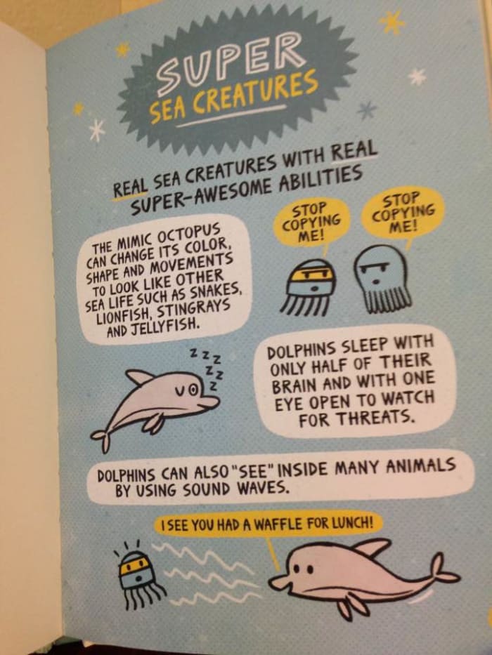 Additional story feature in illustrations of sea creatures will spark children's interest in learning more about ocean creatures.