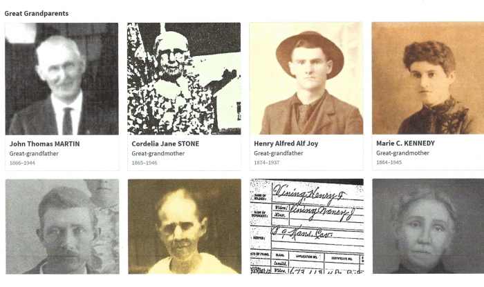 I already know quite a bit about my great-grandparents from my mother's research and my own. Now, Thrulines lets me connect with first, second, third cousins who I might not have met before or could not figure out how we were connected.
