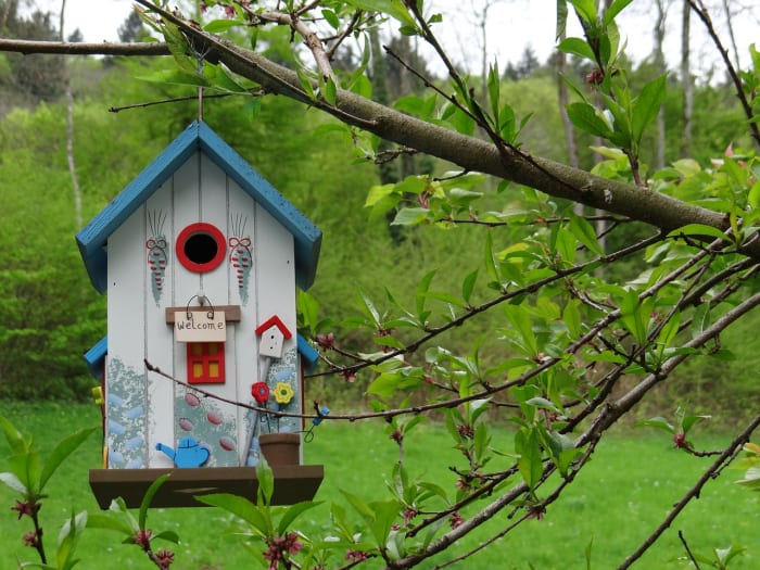 Returning to the family nest is becoming more and more common these days. Here are some tips to help you survive moving back in with your parents.