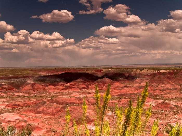 Desert environments can be quite beautiful and dramatic—perhaps inspiring a dramatic background for your fictional character?