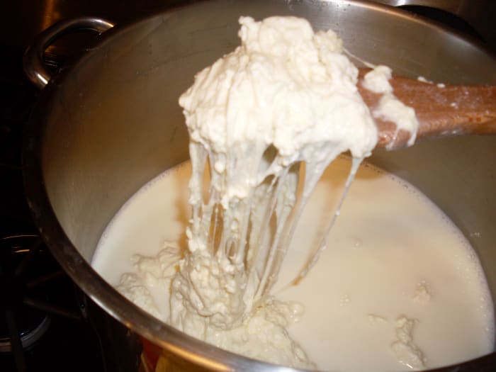 These mozzarella cheese curds are not stretchy enough. They are stringy, and have attained no gloss.