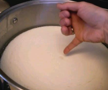 Inserting a finger to test the curds for degree of coagulation. A clean "break" means they are ready.