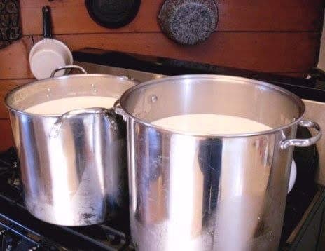 About 9 gallons of milk, divided between 2 five-gallon pots. This is my usual amount. Yours may be less.