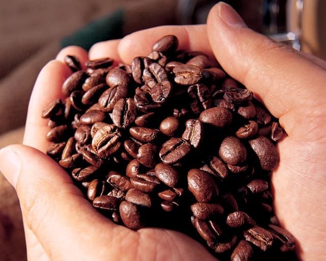 When possible, it is always best to buy your coffee in bean form and grind them yourself just before you brew. That way you will get maximum flavor. The beans should be stored in an airtight container and kept away from extremes of heat and cold.