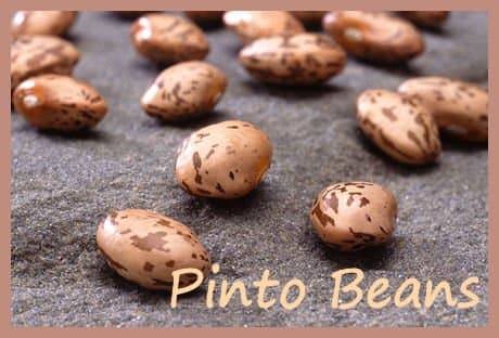 Dried Pinto beans make a wonderful Texas soup with salt pork and onions and garlic cooked up in a crock pot.