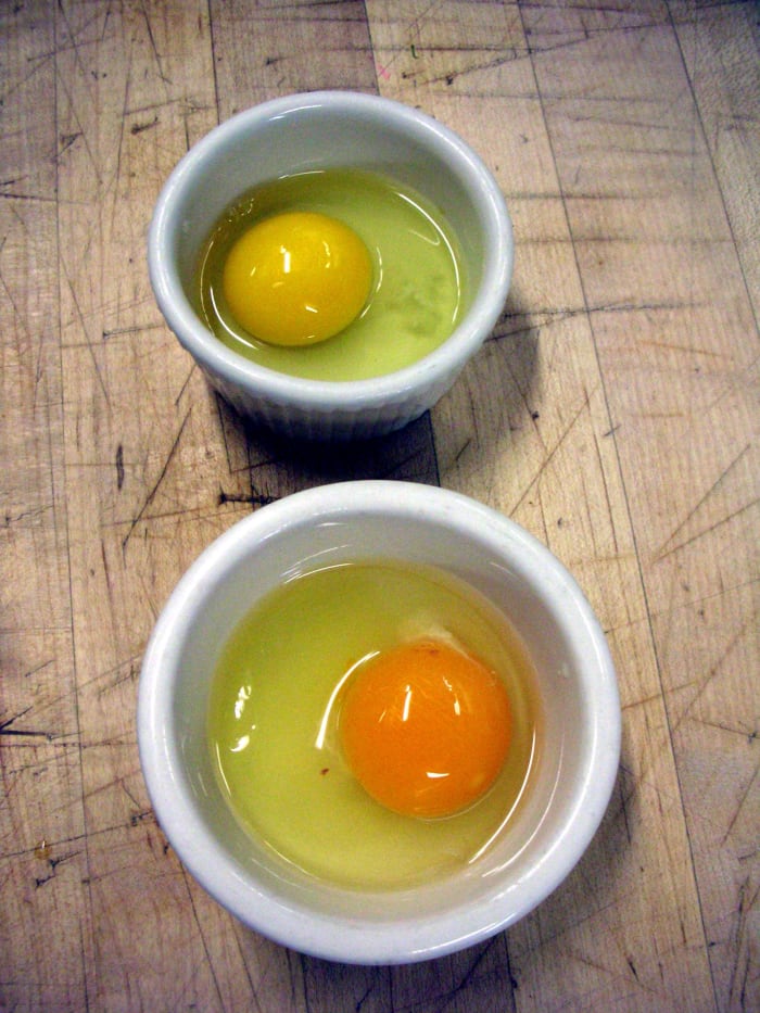 It is easy to see the huge color difference between a store bought production egg, and a fresh free range egg-- look for brown or pastel blue colored shells.
