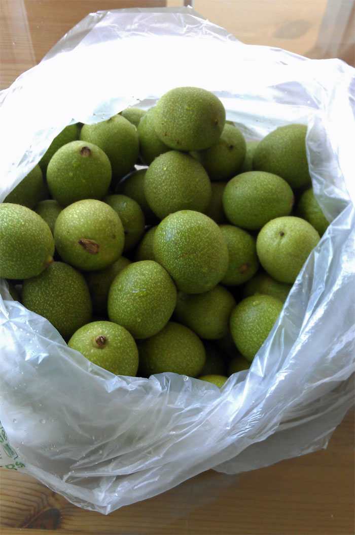 How to Make Nocino Green Walnut Liqueur Recipe With Pictures Delishably