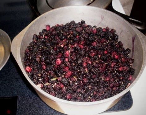 The berries will cook down slowly in their own juices, if you cover them tightly. When they are a bit pulpy (not shapeless and totally mushy), they are ready.