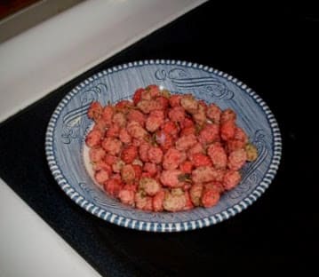 Here are sour, unripe berries. My kids like them, but too many can make you sick mentally and physically, so you'd best discard them. They will do fine in a composting pile. These should not have been picked at all, but were shaken off the tree.