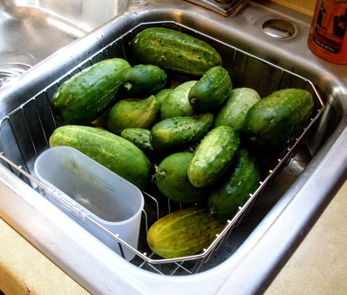 Gently scrub fresh, firm cucumbers (for best quality, pick early in the morning). Select only those with no signs of deterioration or bruising.