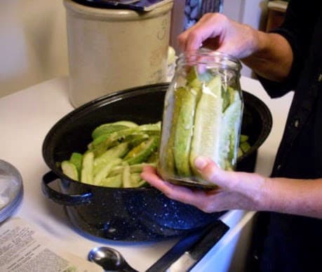 Meanwhile, pack cucumber sticks into clean jars. Pack tightly, but don't crush. They will shrink some when heated.