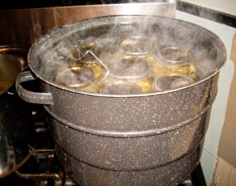 Water should cover jars by about one inch. Put on lid, wait for water to return to a full boil, and process pickles 5 minutes.