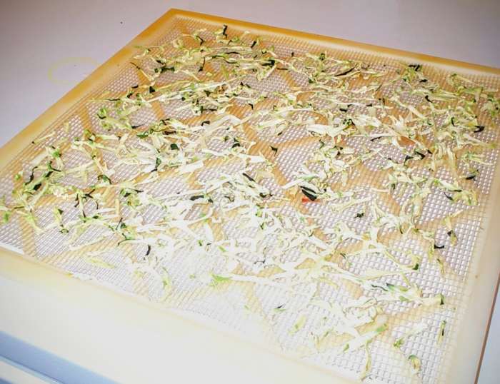 How to Dry Summer Squash An Illustrated Guide Delishably