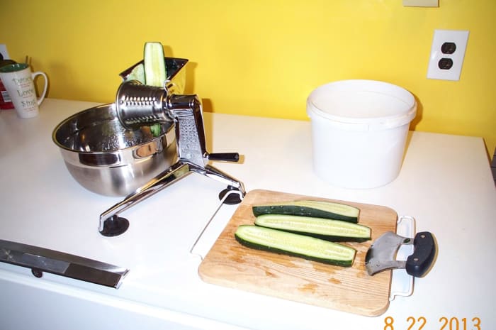 The size to which you cut your squash prior to shredding will depend on your shredder or food processor. This shredder can handle big strips. Halving or quartering big squashes is usually enough.