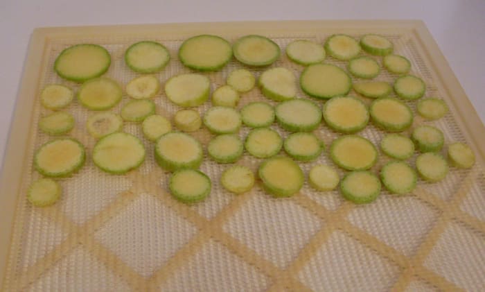 Arrange closely together on drying trays or screens. I am using a commercial food dehydrator, but it is possible to sun-dry squash chips in intense sunlight with low humidity, or in a very low oven.