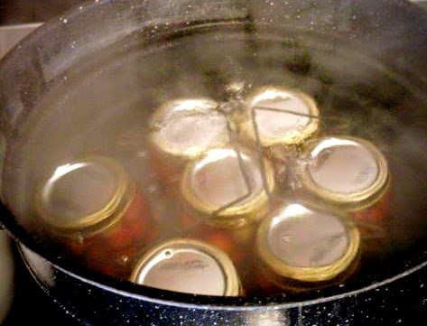 Wait for water to come back to a rolling boil before you start timing 15 minutes (at 5,000' elevation), for pints or half-pints. Quarts process for 20 minutes.