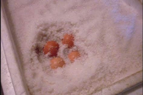 . . . until you have enough, or until your cooler is full. Cover the last layer with salt, then put on the lid tightly.