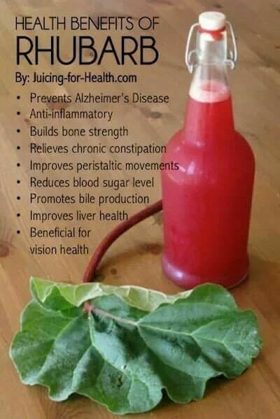Did you know that rhubarb is better than simply tasty? It has several important health benefits, especially for your gut health and regular function. Bone strength, brain health, and a tonic action are also included.
