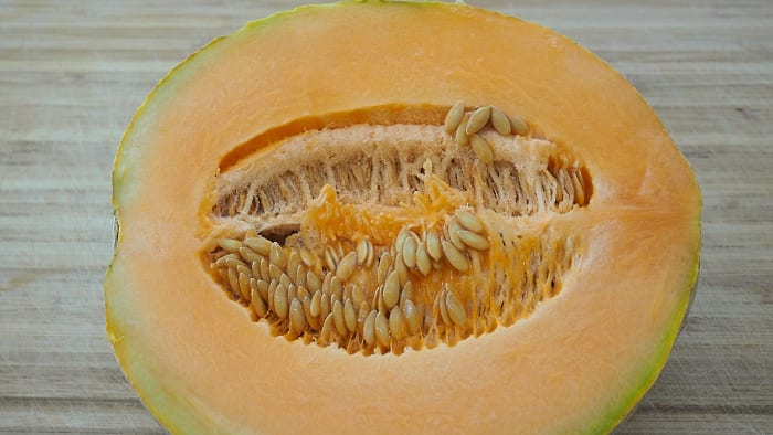 Did you know that cantaloupe seeds are edible? When dry roasted, they make a popular snack in many parts of the world.