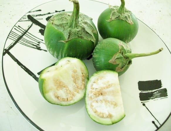 Tajskie bakłażany są małe i okrągłe i często są spożywane na surowo.