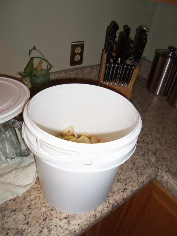 Easy Homemade Pear Wine Recipe Delishably Food and Drink