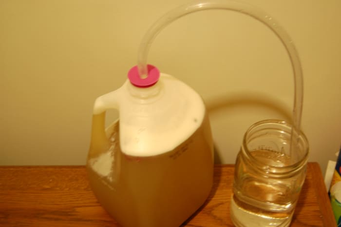 Placing the other end of the plastic tubing in a cup or mason jar filled half-way with water allows gasses to escape without letting anything back in,