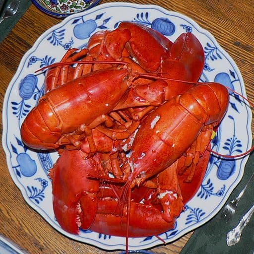 Whole Maine Lobster