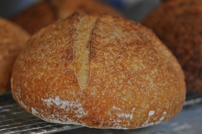 Salt fermented sourdough made with 100% semola. Results are quite different from the 100% baker's flour loaf. Image: © Siu Ling Hui