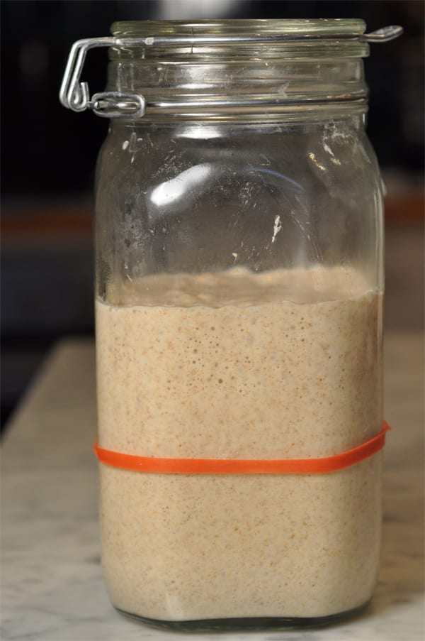 The same leaven left overnight to 'mature' at ambient temperature of around 17°C. It was still sweet smelling (as distinct from acidic) at this point.