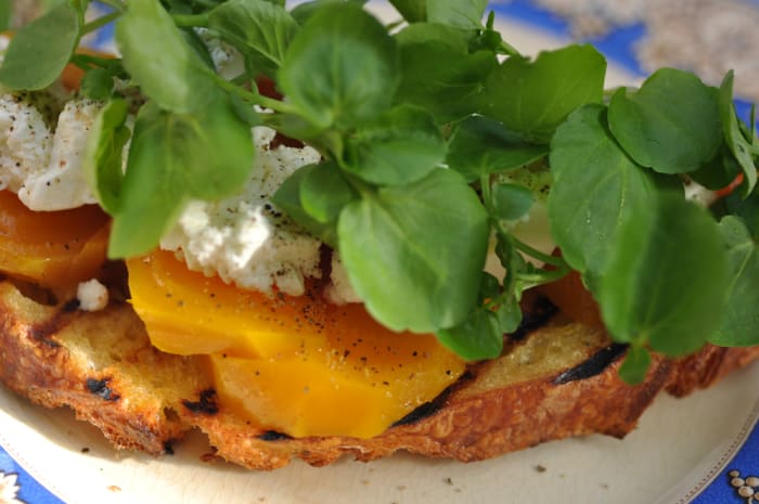 Grilled semola bread with slow roasted orange beetroot, fresh goat's cheese and watercress. Image: © Siu Ling Hui