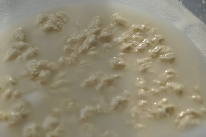 Salt fermented mother dough chopped into small pieces and added to water to prepare the dough. Image: © Siu Ling Hui