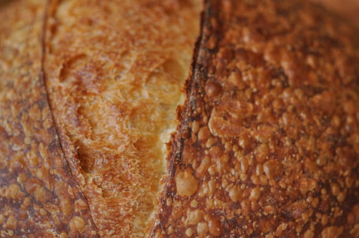 Crust of salt fermented sourdough with 100% baker's flour. Blistering is intense. Image: © Siu Ling Hui