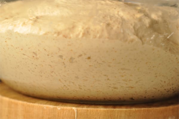 Side view of dough after 3 hours of bulk fermentation. Notice the formation of air bubbles in the dough.