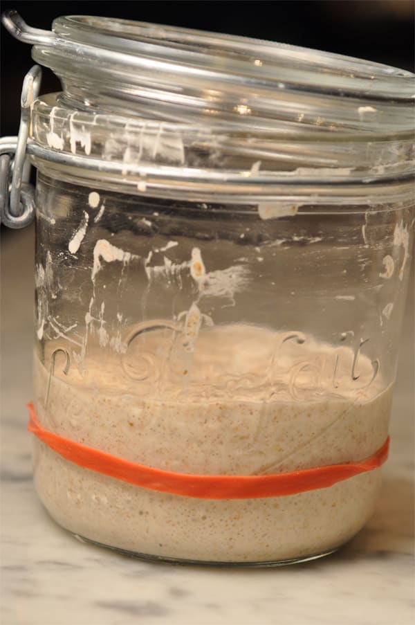 A starter that I made with baker's flour, organic wholewheat flour, and light rye flour, and water. Took over 1 week to mature so that it rises (above rubber band marker) and falls reliably.