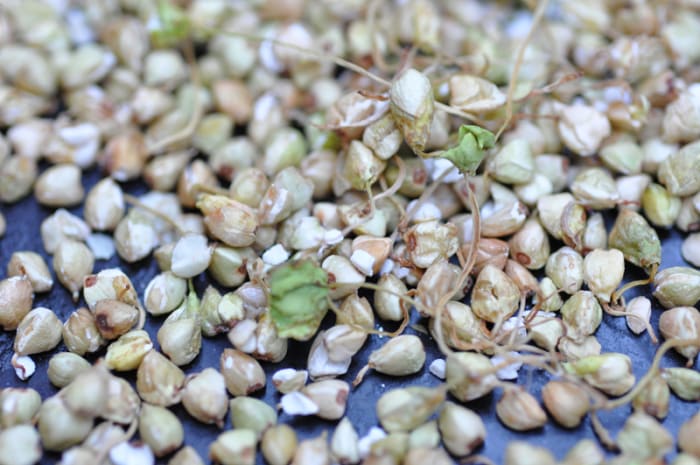 Roasted sprouted buckwheat. Ready for grinding into malt powder. Lovely nutty fragrance. Image: © Siu Ling Hui