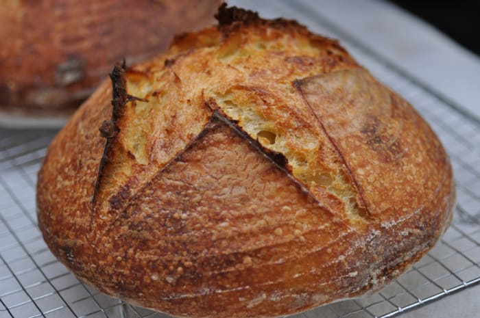 70% hydration is the sweet spot for 100% semola bread made using the salt ferment approach. 75% made the dough very tricky to handle. Image: © Siu Ling Hui