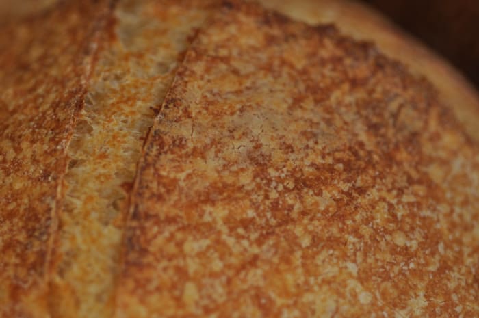 Crust of salt fermented sourdough with 100% semola. This dough doesn't blister in the way that the one with baker's flour does. Image: © Siu Ling Hui