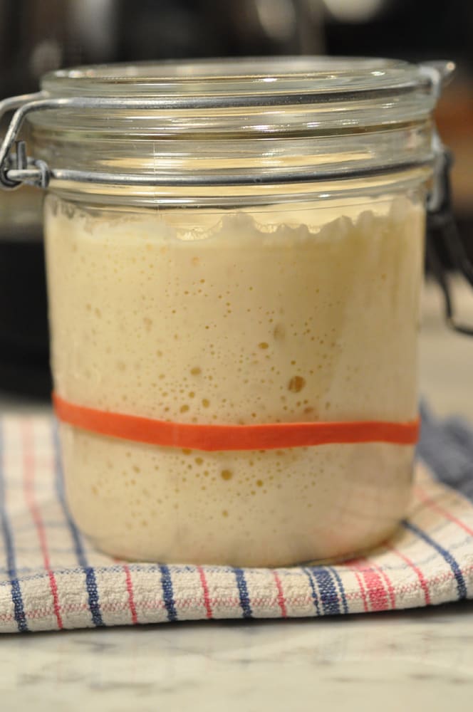 This is a white leaven ie using only baker's flour. It has a very "gloopy" texture; quite different from leavens that include rye or other flours. Image: © Siu Ling Hui