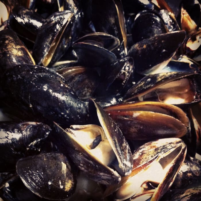 Steamed mussels are a healthy choice.