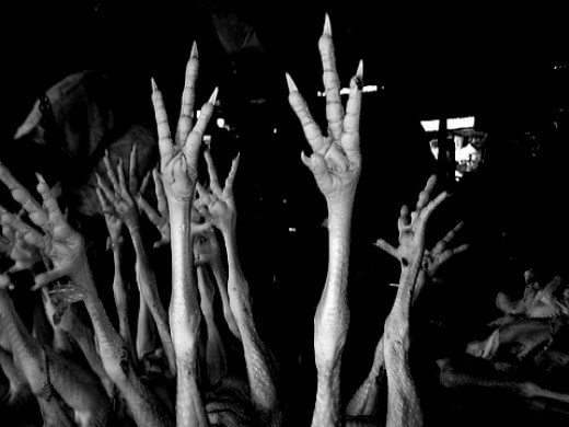 Despite the goodness of chicken feet, many people are not eating it as it reminded them of human hand!