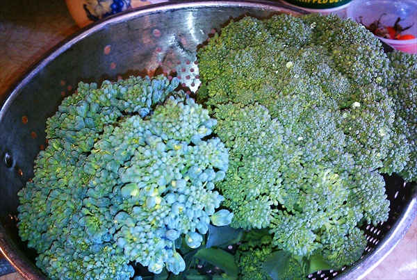 Use two heads of fresh broccoli. This works well for floppy broccoli or broccoli that was on the stalk just a tad too long—like the head on the left that's about to flower.