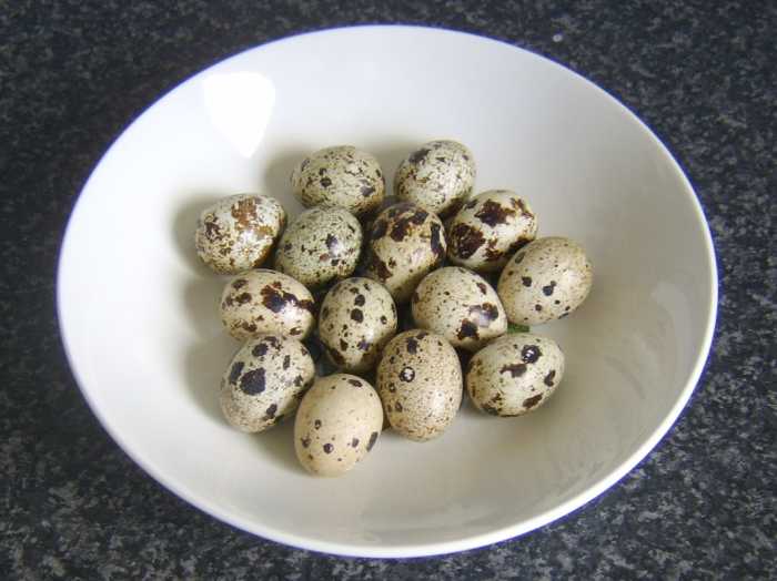 How to Cook Quails Eggs (With Recipes) Delishably