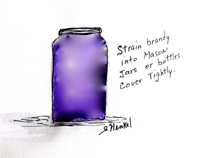 After fermentation is complete, strain brandy through cheesecloth into bottles or Mason Jars.
