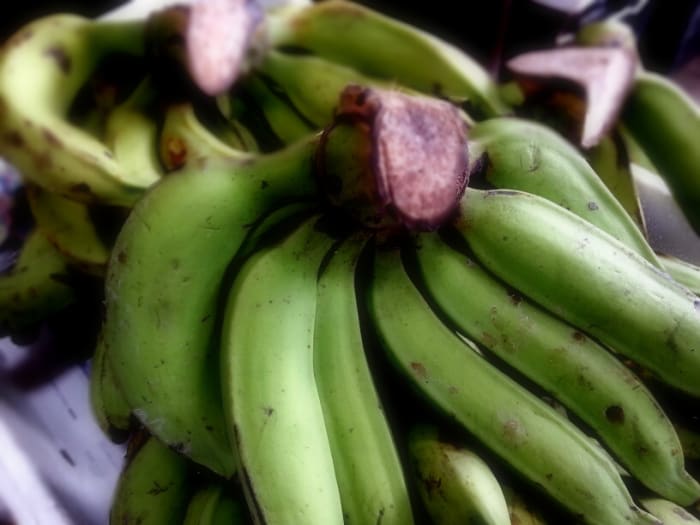 Pisang nangka is green even when ripe. It will turn slightly yellowish when over-ripe. When it is very ripe, it tastes sweet and sour and is also another favorite banana variety for banana fritters.