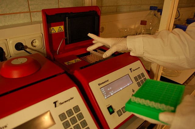 Placing a strip of eight PCR tubes, each containing a 100 μl reaction mixture, into the thermal cycler