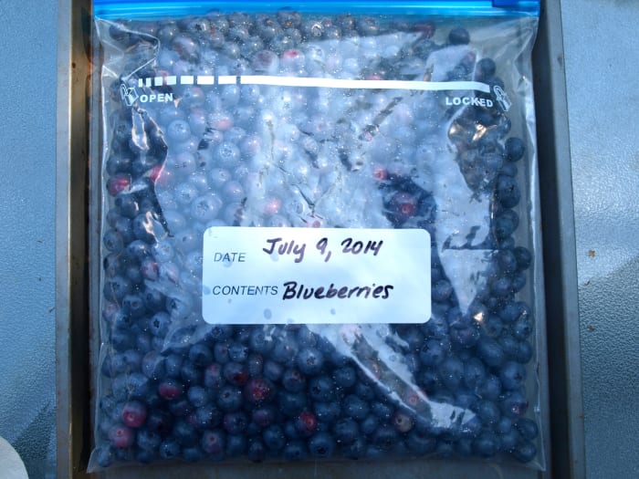 Once the berries are frozen, transfer them to a freezer bag and label. Place in the freezer until ready to use.